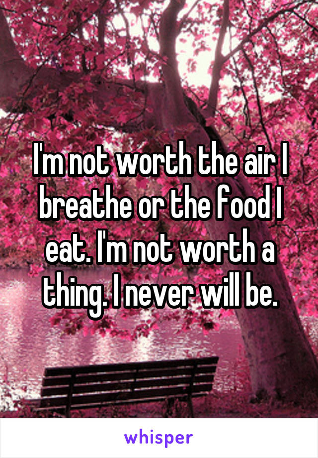 I'm not worth the air I breathe or the food I eat. I'm not worth a thing. I never will be.