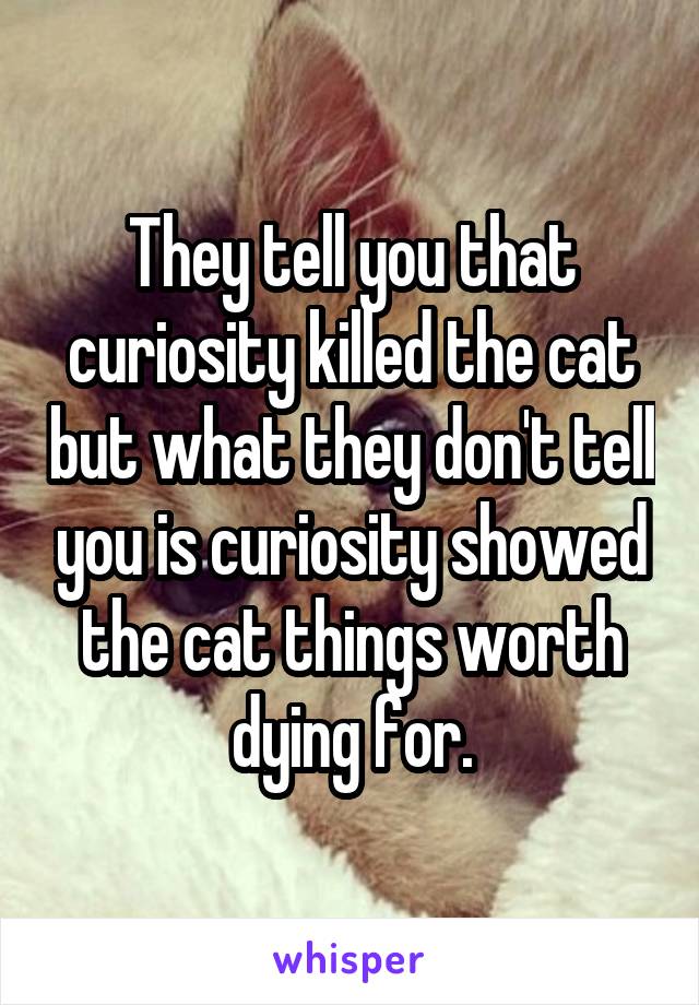 They tell you that curiosity killed the cat but what they don't tell you is curiosity showed the cat things worth dying for.