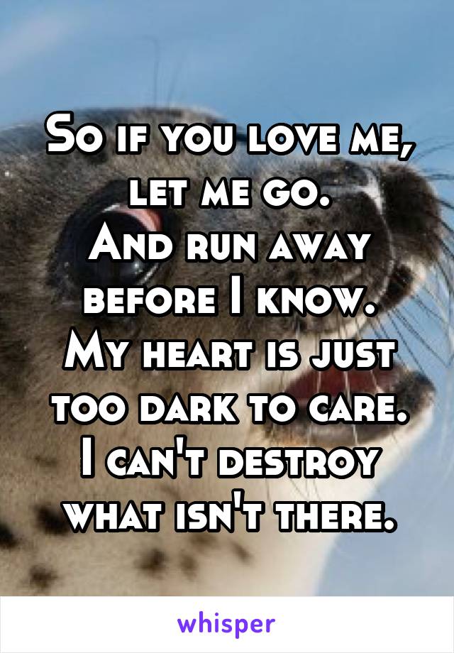 So if you love me, let me go.
And run away before I know.
My heart is just too dark to care.
I can't destroy what isn't there.