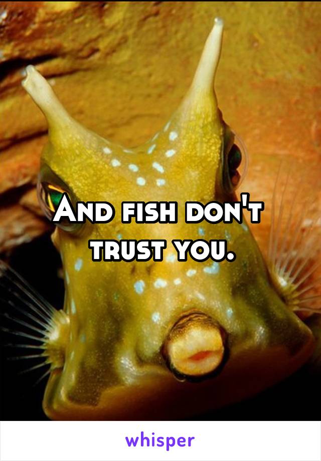 And fish don't 
trust you.