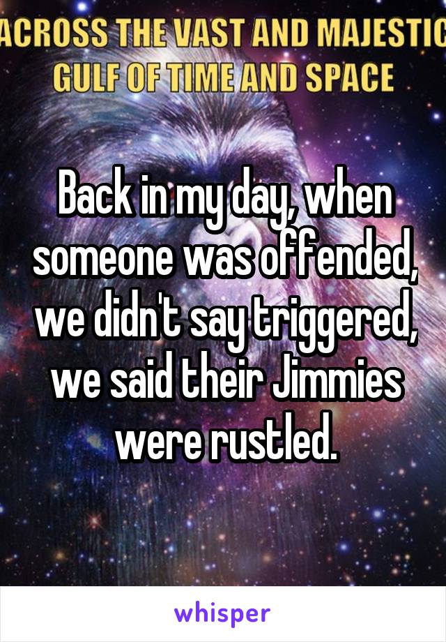 Back in my day, when someone was offended, we didn't say triggered, we said their Jimmies were rustled.