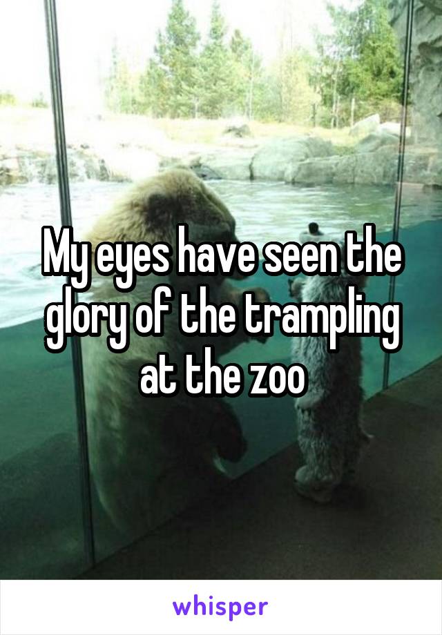 My eyes have seen the glory of the trampling at the zoo