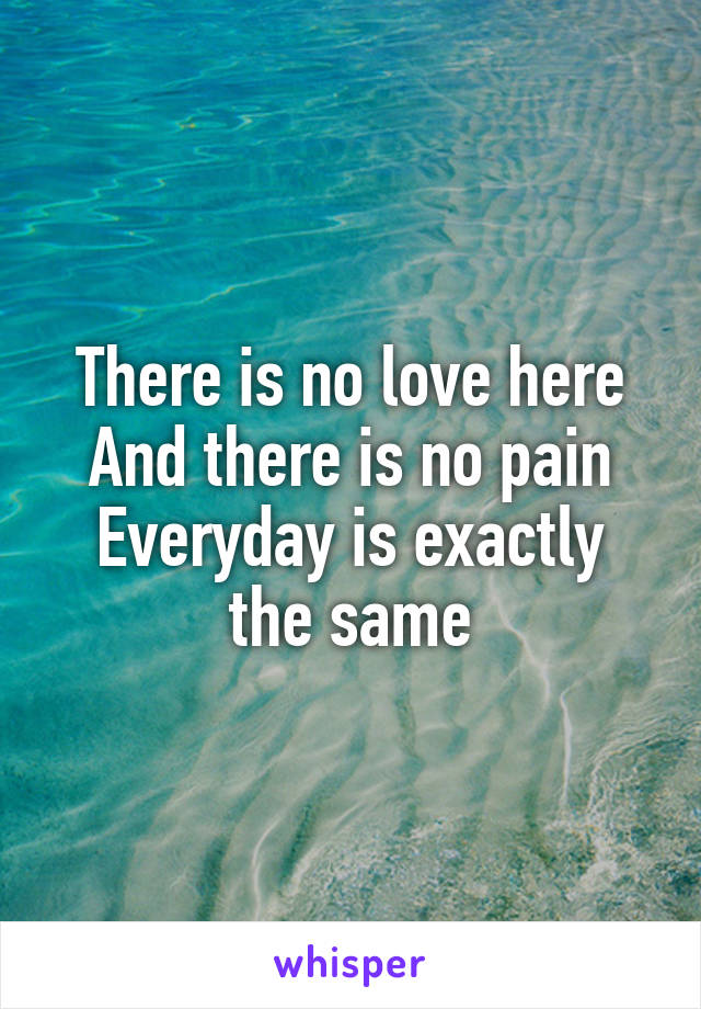 There is no love here
And there is no pain
Everyday is exactly the same