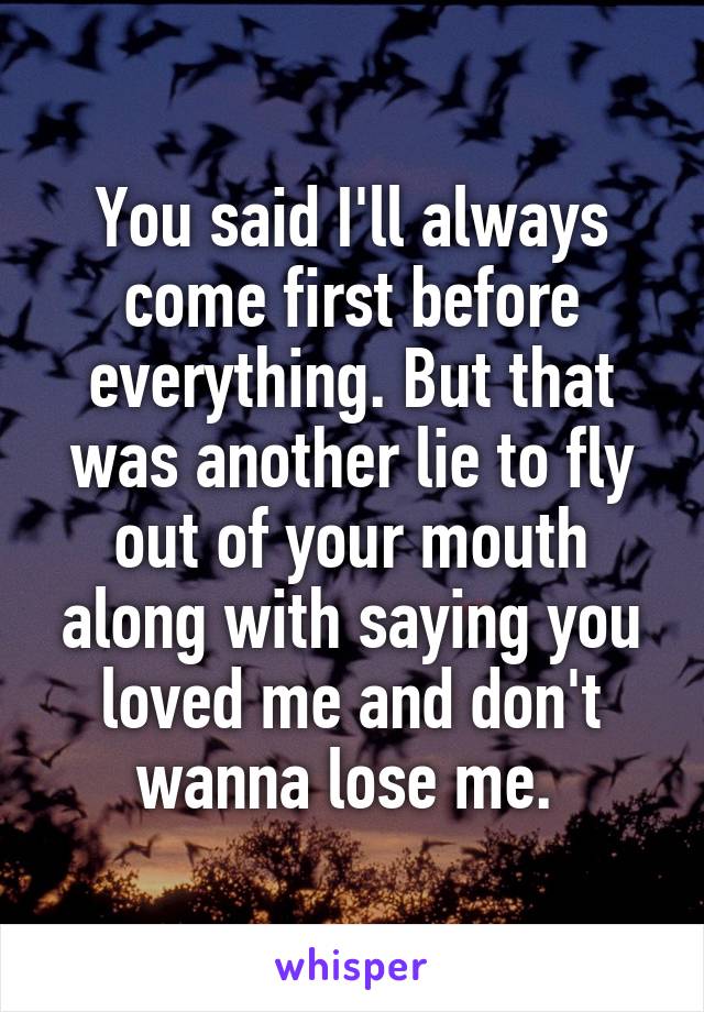 You said I'll always come first before everything. But that was another lie to fly out of your mouth along with saying you loved me and don't wanna lose me. 