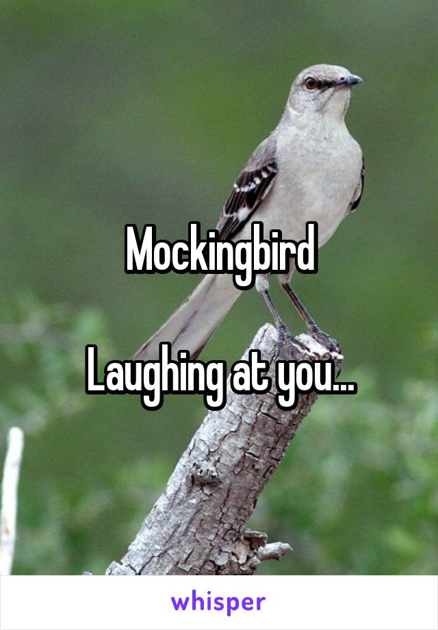 Mockingbird

Laughing at you...