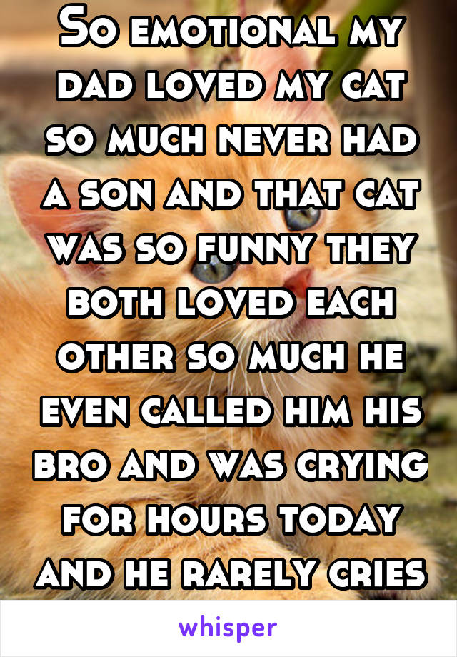 So emotional my dad loved my cat so much never had a son and that cat was so funny they both loved each other so much he even called him his bro and was crying for hours today and he rarely cries ..