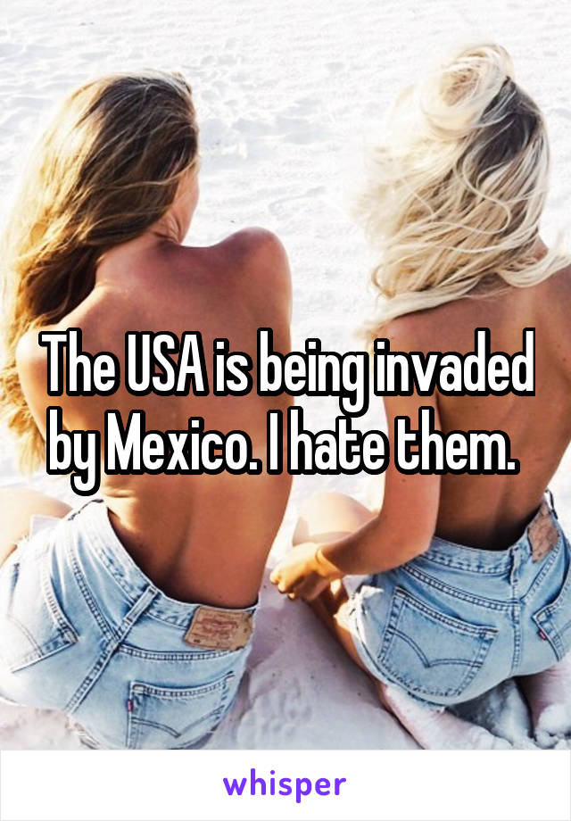 The USA is being invaded by Mexico. I hate them. 