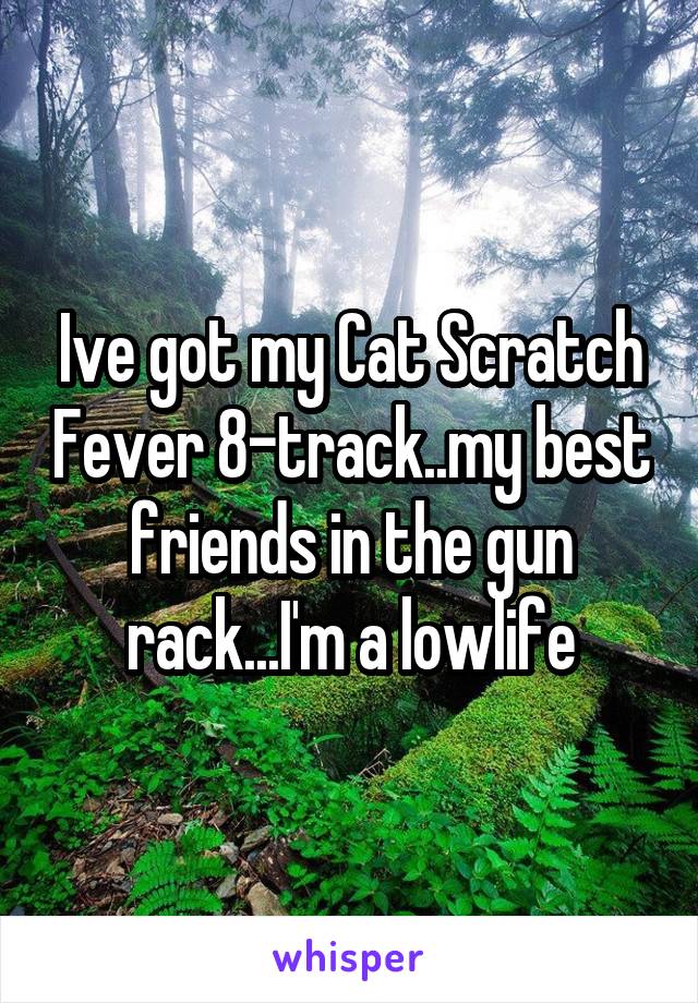 Ive got my Cat Scratch Fever 8-track..my best friends in the gun rack...I'm a lowlife