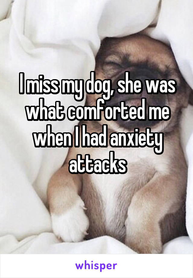 I miss my dog, she was what comforted me when I had anxiety attacks
