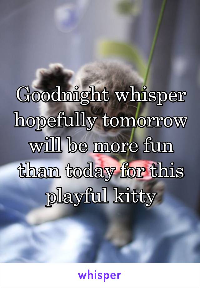 Goodnight whisper hopefully tomorrow will be more fun than today for this playful kitty