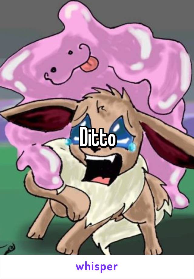 Ditto