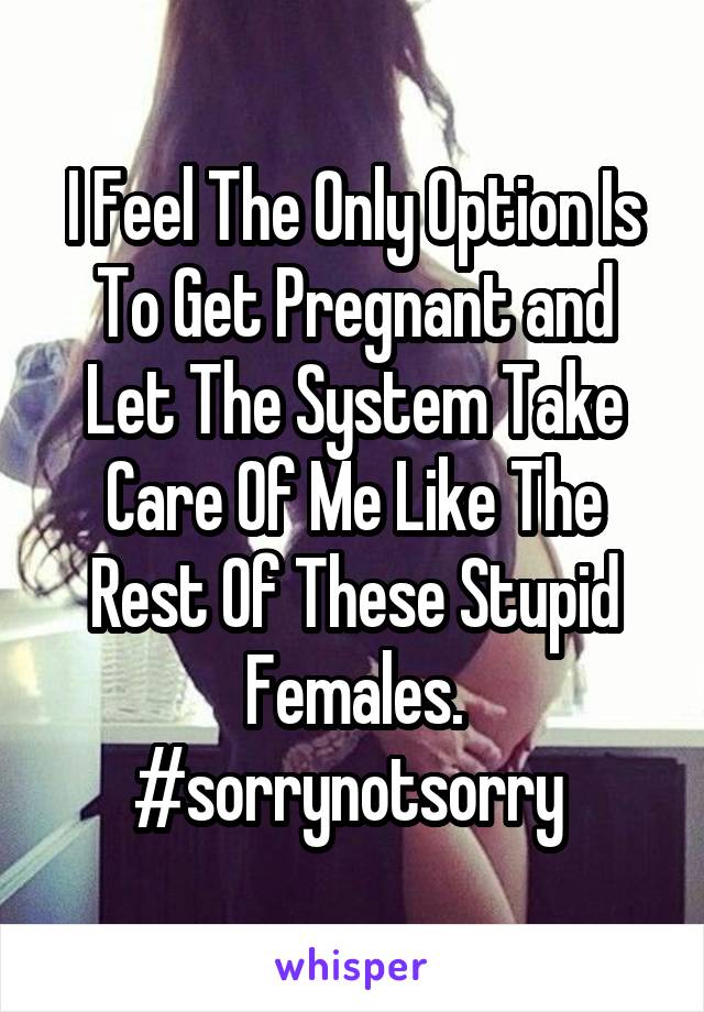 I Feel The Only Option Is To Get Pregnant and Let The System Take Care Of Me Like The Rest Of These Stupid Females. #sorrynotsorry 