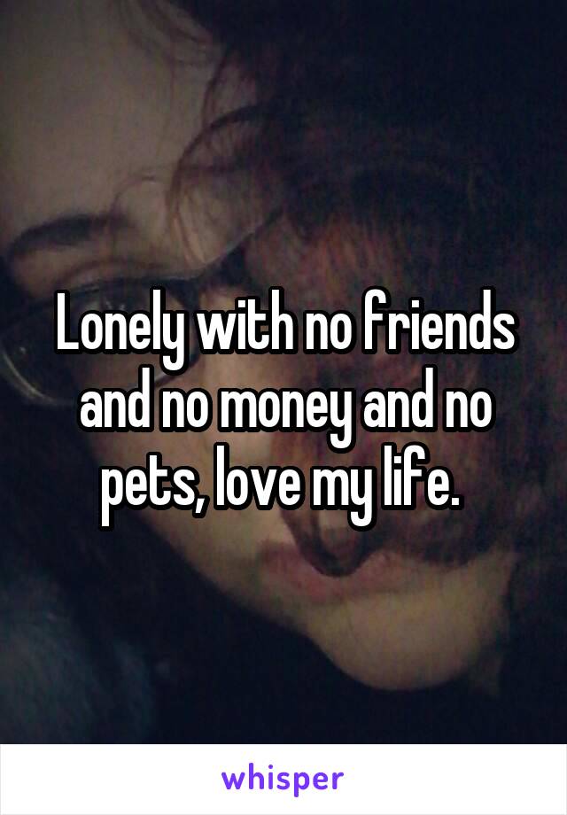 Lonely with no friends and no money and no pets, love my life. 