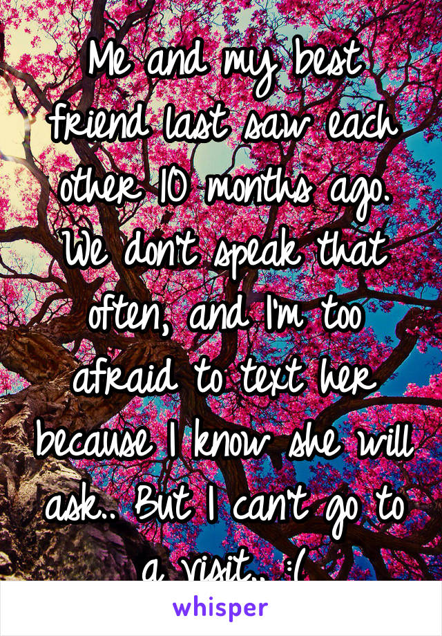 Me and my best friend last saw each other 10 months ago. We don't speak that often, and I'm too afraid to text her because I know she will ask.. But I can't go to a visit.. :(