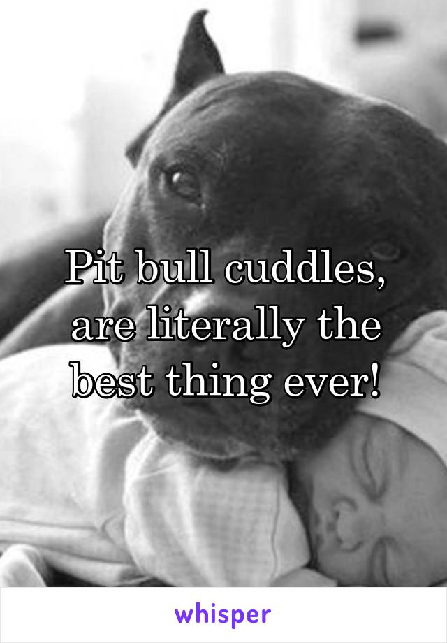 Pit bull cuddles, are literally the best thing ever!