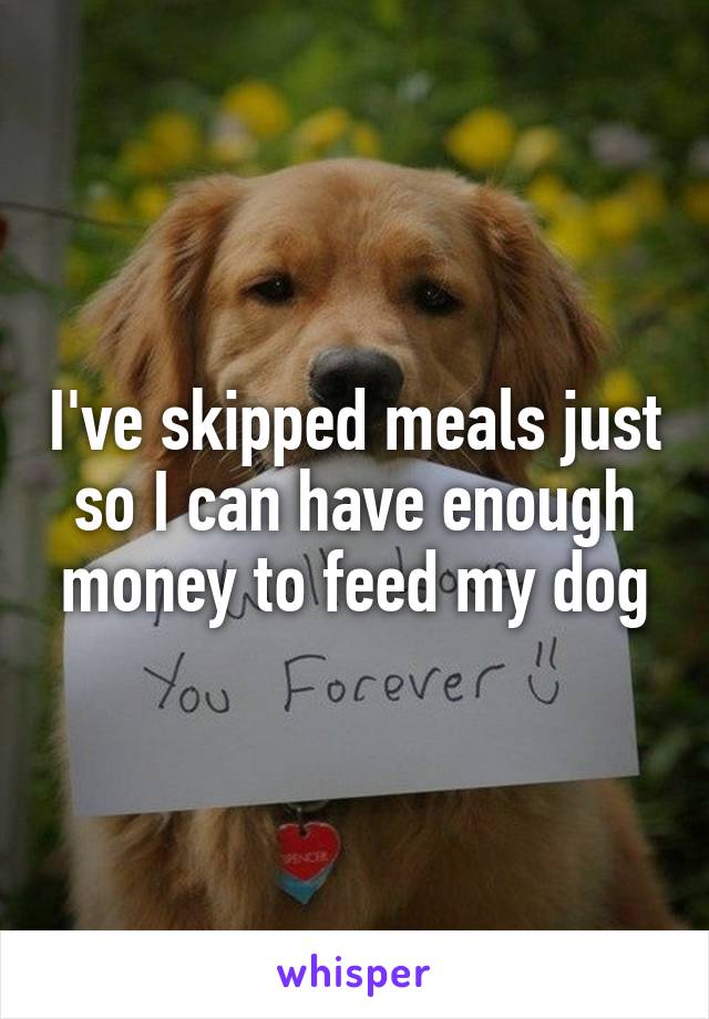 I've skipped meals just so I can have enough money to feed my dog