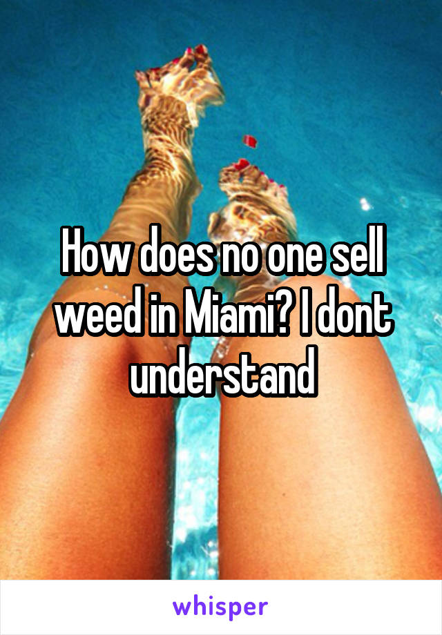 How does no one sell weed in Miami? I dont understand