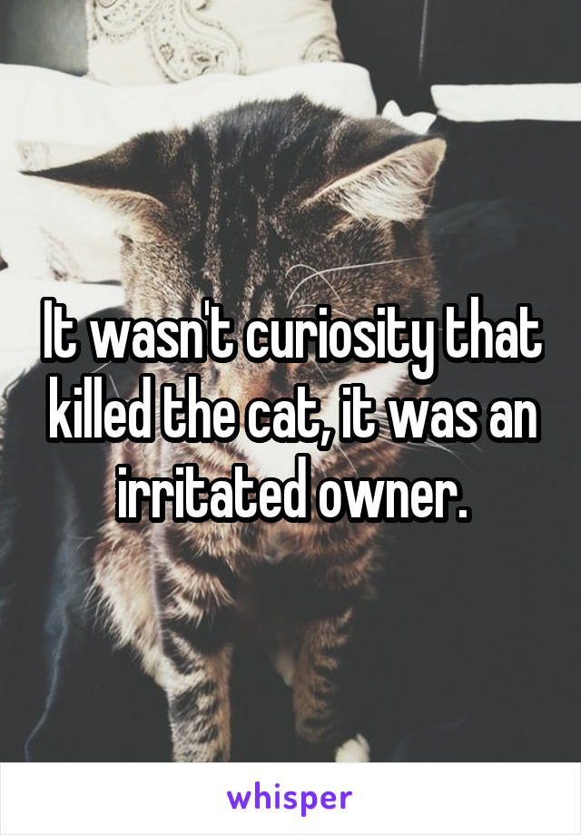 It wasn't curiosity that killed the cat, it was an irritated owner.