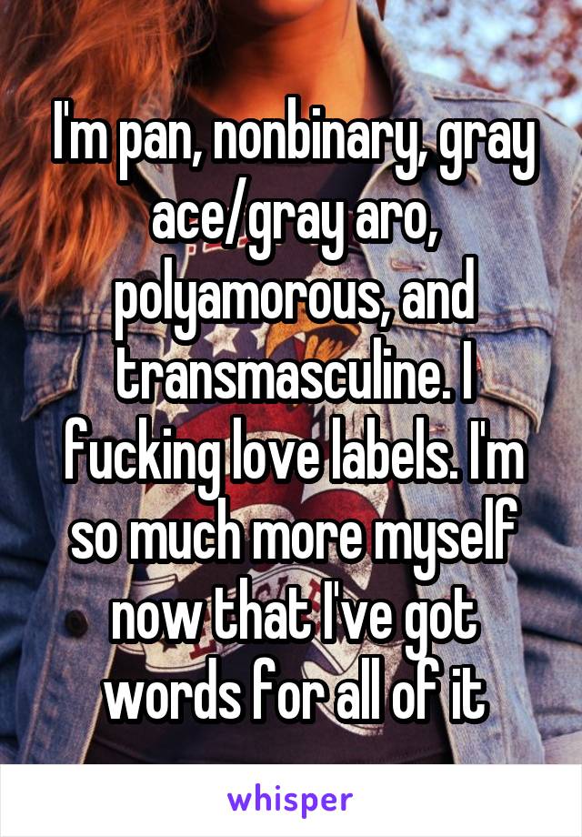 I'm pan, nonbinary, gray ace/gray aro, polyamorous, and transmasculine. I fucking love labels. I'm so much more myself now that I've got words for all of it