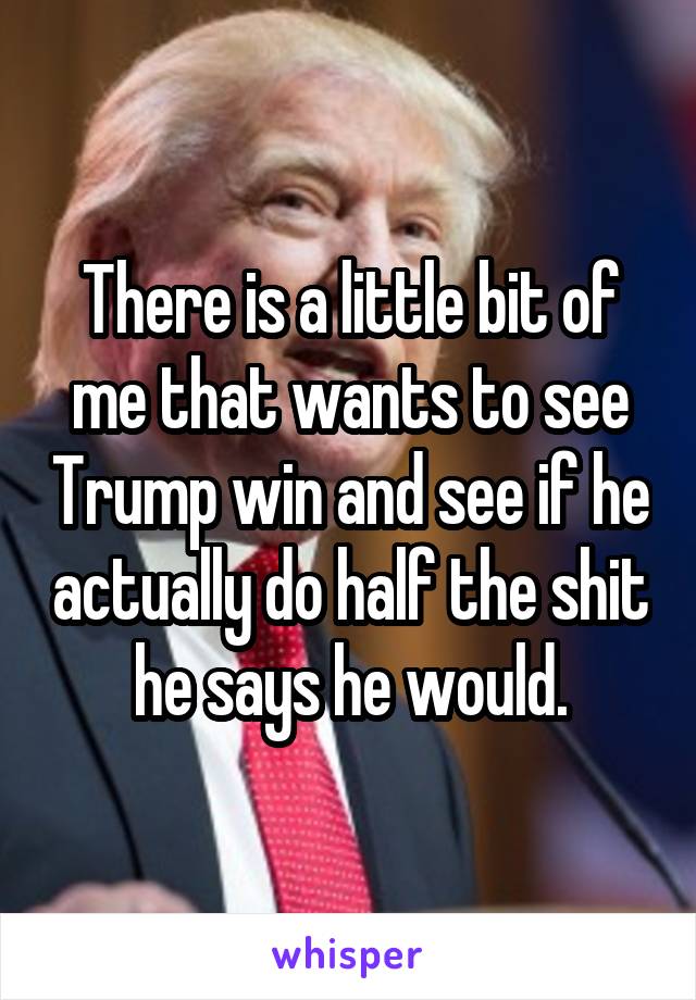 There is a little bit of me that wants to see Trump win and see if he actually do half the shit he says he would.