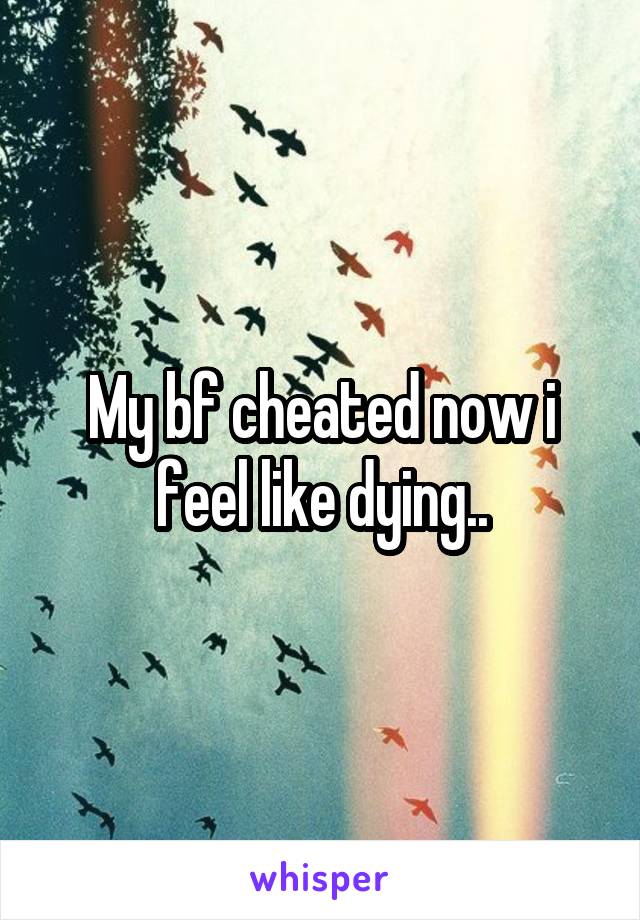 My bf cheated now i feel like dying..