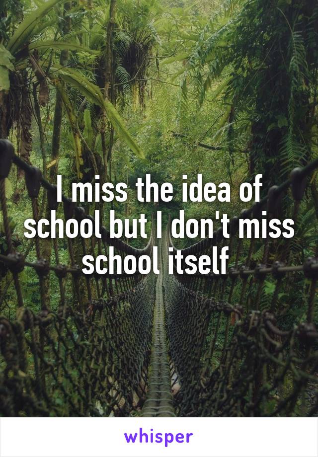 I miss the idea of school but I don't miss school itself 