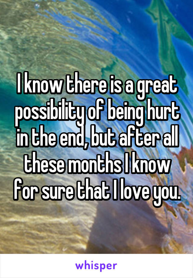 I know there is a great possibility of being hurt in the end, but after all these months I know for sure that I love you.