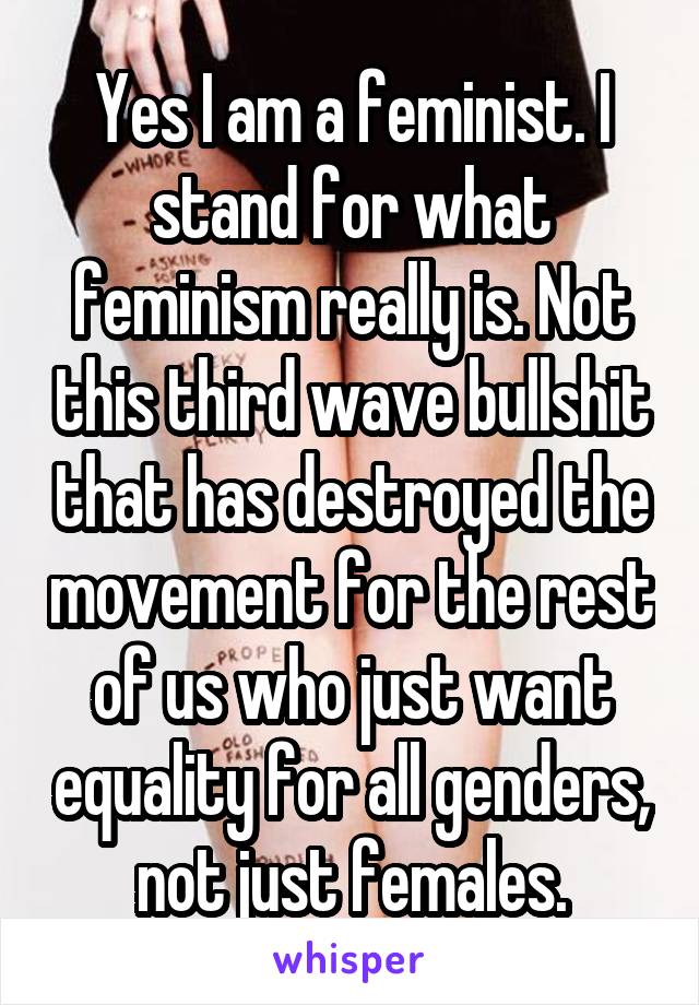 Yes I am a feminist. I stand for what feminism really is. Not this third wave bullshit that has destroyed the movement for the rest of us who just want equality for all genders, not just females.