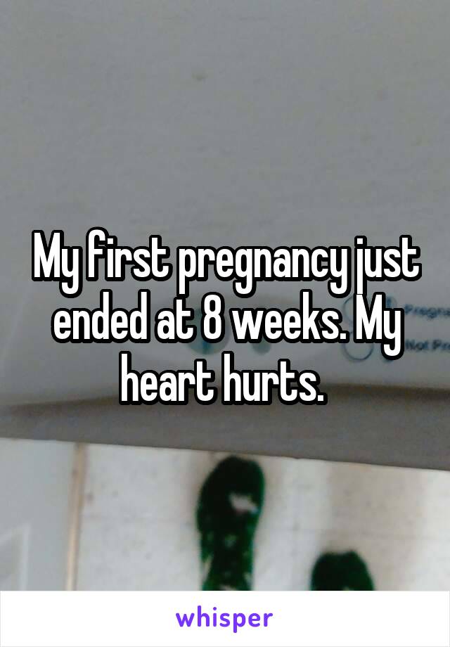 My first pregnancy just ended at 8 weeks. My heart hurts. 