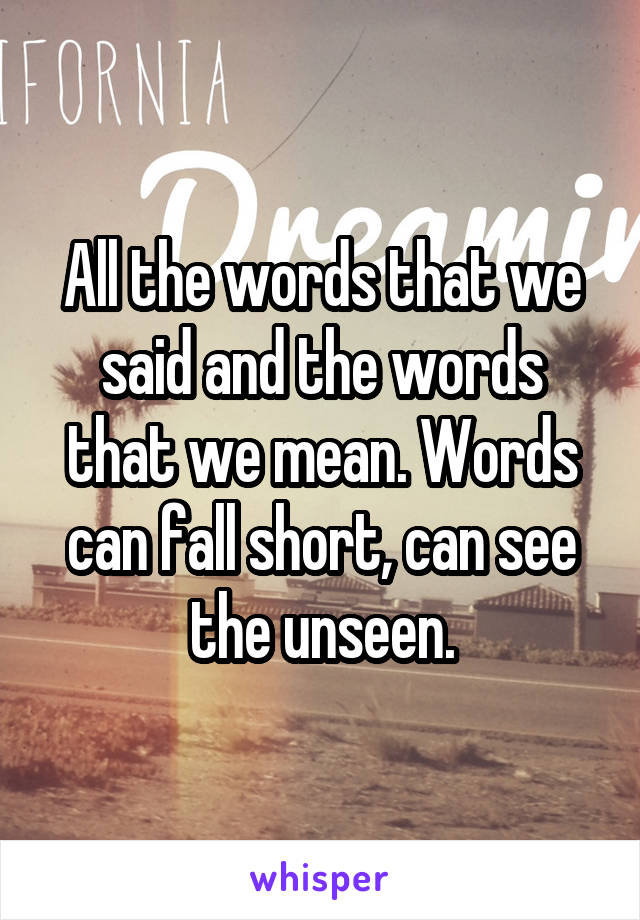 All the words that we said and the words that we mean. Words can fall short, can see the unseen.