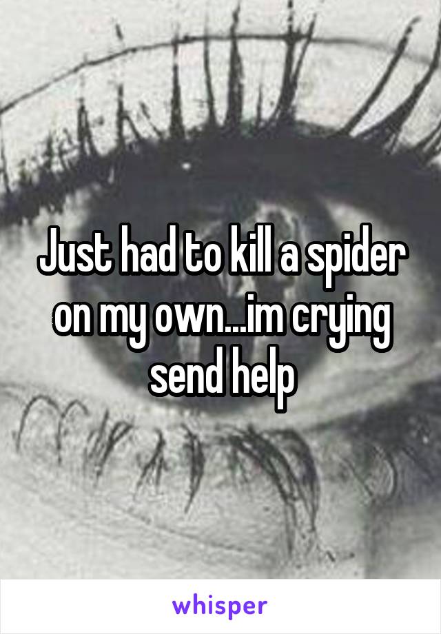 Just had to kill a spider on my own...im crying send help