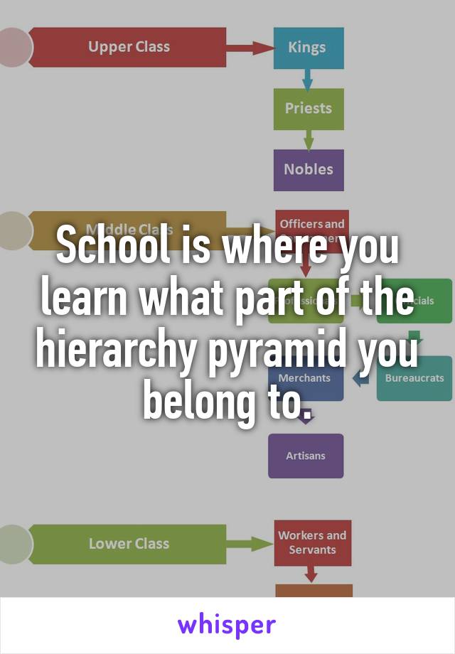 School is where you learn what part of the hierarchy pyramid you belong to.