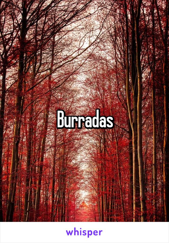 Burradas