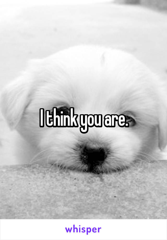 I think you are.