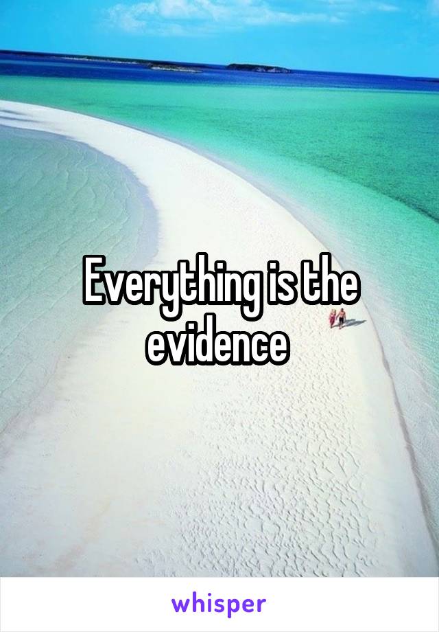 Everything is the evidence 