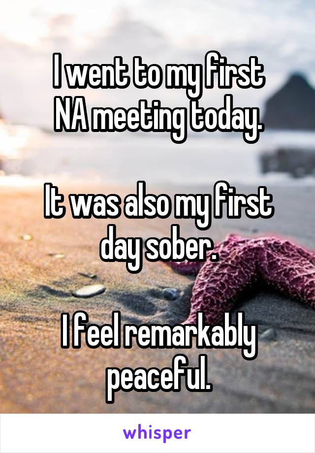 I went to my first
NA meeting today.

It was also my first day sober.

I feel remarkably peaceful.