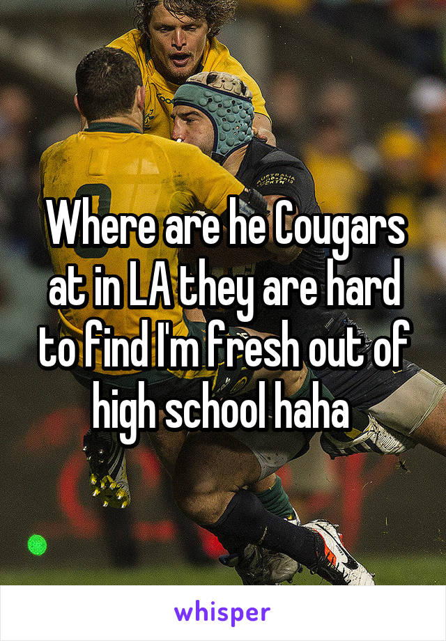 Where are he Cougars at in LA they are hard to find I'm fresh out of high school haha 