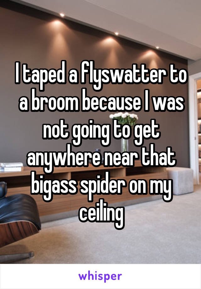 I taped a flyswatter to a broom because I was not going to get anywhere near that bigass spider on my ceiling