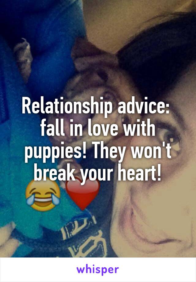 Relationship advice:  fall in love with puppies! They won't break your heart!