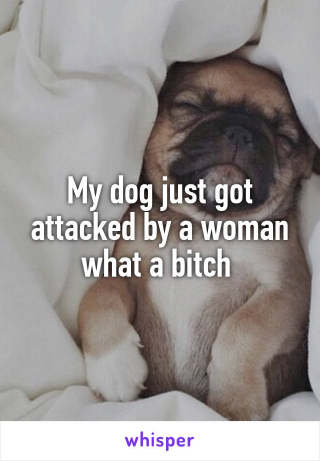 My dog just got attacked by a woman what a bitch 