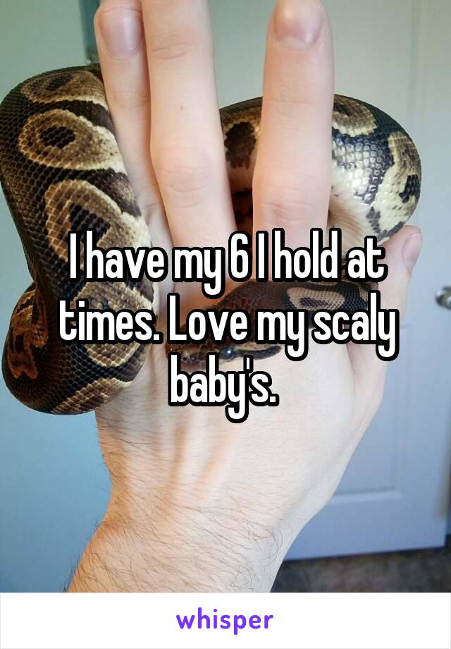 I have my 6 I hold at times. Love my scaly baby's. 