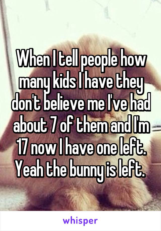 When I tell people how many kids I have they don't believe me I've had about 7 of them and I'm 17 now I have one left. Yeah the bunny is left. 