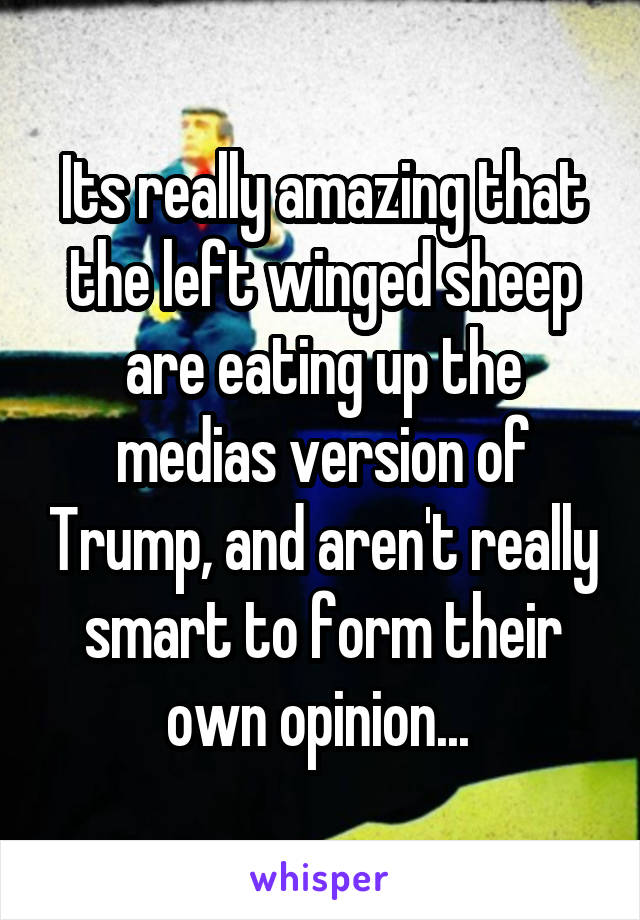 Its really amazing that the left winged sheep are eating up the medias version of Trump, and aren't really smart to form their own opinion... 