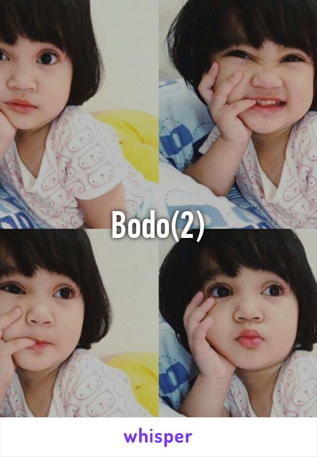 Bodo(2)