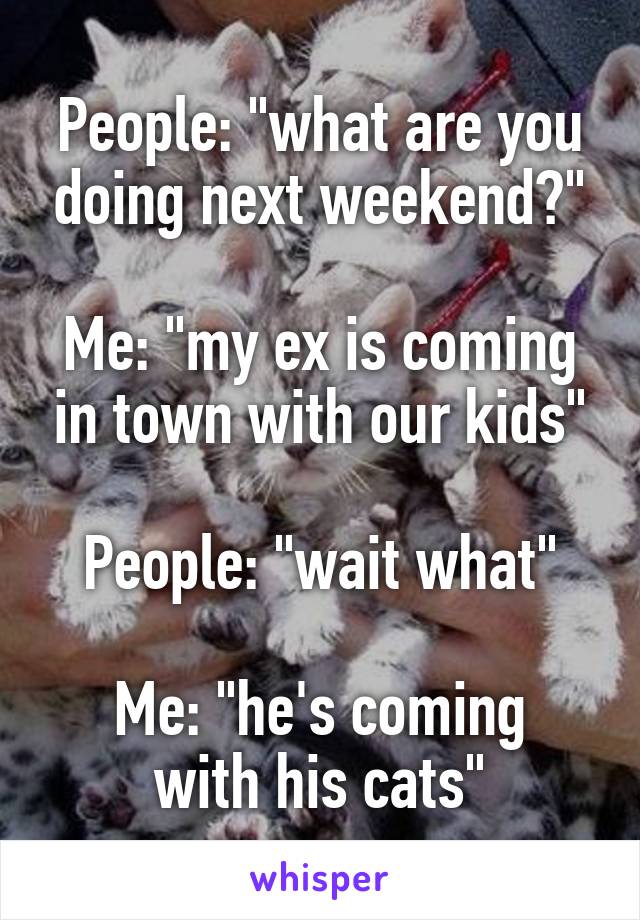 People: "what are you doing next weekend?"

Me: "my ex is coming in town with our kids"

People: "wait what"

Me: "he's coming with his cats"