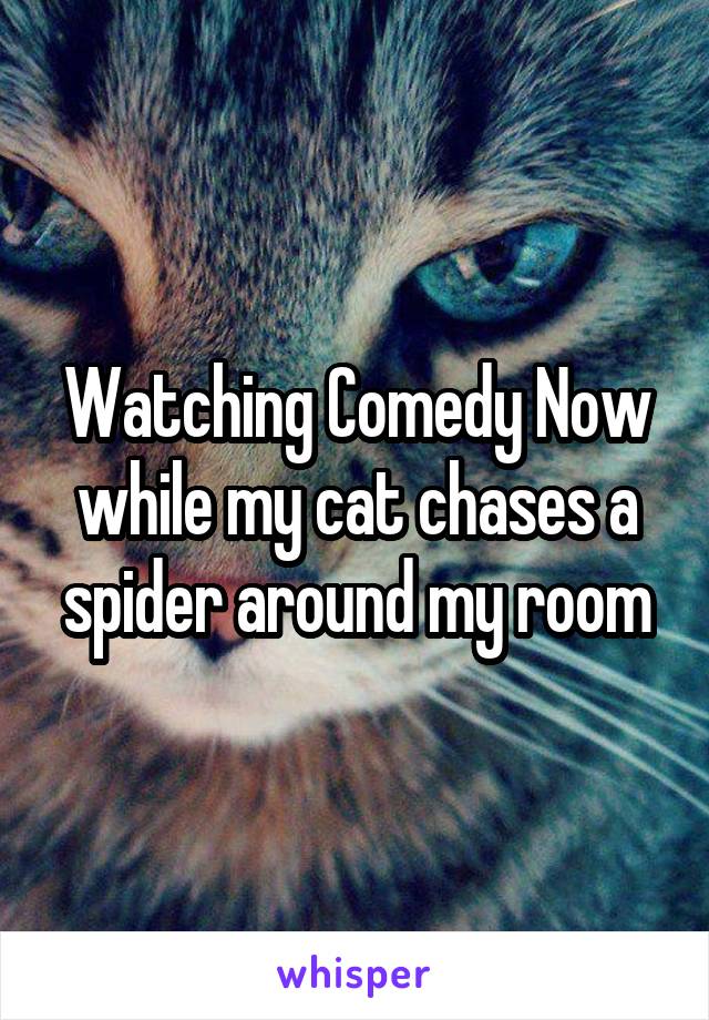 Watching Comedy Now while my cat chases a spider around my room