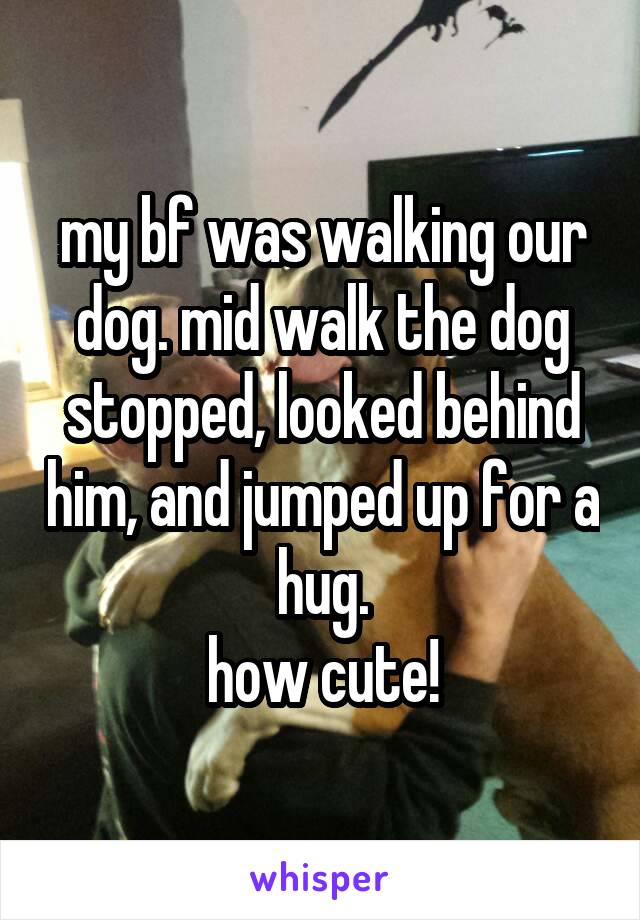 my bf was walking our dog. mid walk the dog stopped, looked behind him, and jumped up for a hug.
how cute!