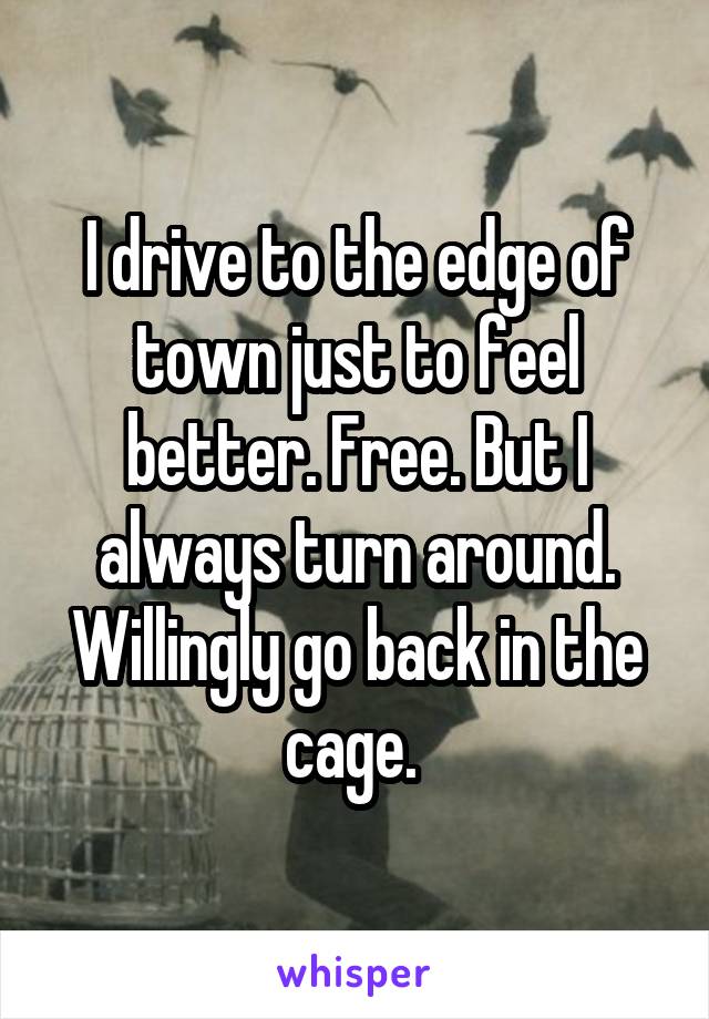 I drive to the edge of town just to feel better. Free. But I always turn around. Willingly go back in the cage. 