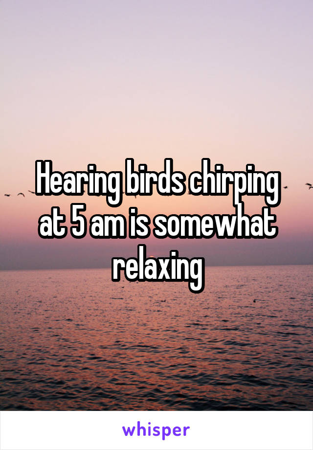 Hearing birds chirping at 5 am is somewhat relaxing