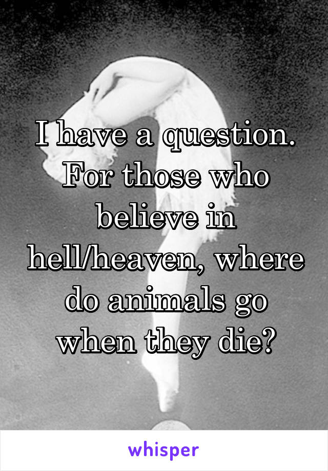 I have a question. For those who believe in hell/heaven, where do animals go when they die?